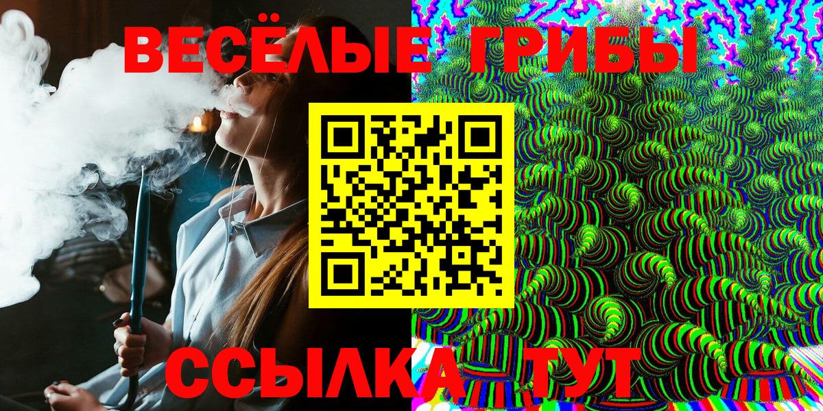 Псилоцибиновые грибы Psilocybine cubensis Людиново